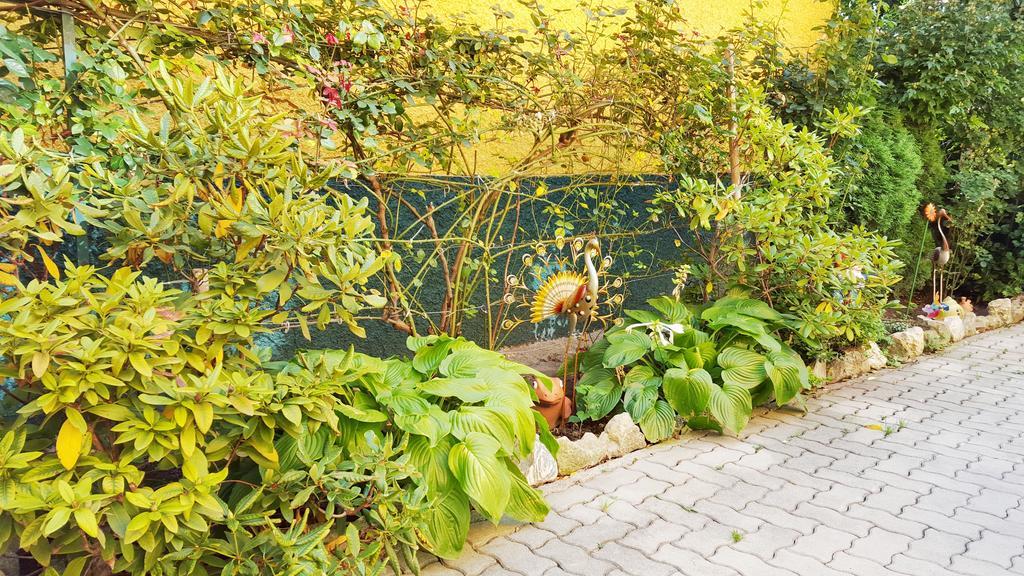 Gaestezimmer Wurm Mönchhof 外观 照片